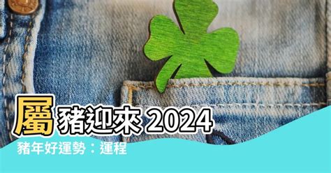 2024運程豬